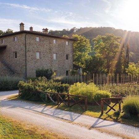 Villa Cuprena Arezzo Exterior foto