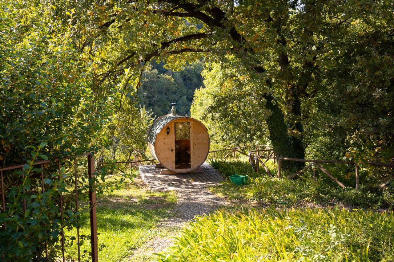 Villa Cuprena Arezzo Exterior foto